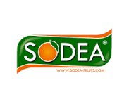 My Website